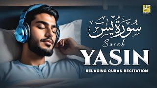 Surah Yasin (Yaseen) سورة يس | THIS WILL TOUCH YOUR HEART إن شاء الله | ZikarAllah TV