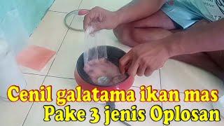 How to cook aci flour for GALATAMA Carp fishing using 3 types of Mix Essence