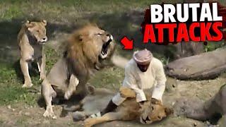 The Most BRUTAL Lion Attacks MARATHON!