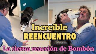 ¡INCREÍBLE REENCUENTRO! La TIERNA REACCIÓN de Bombón ️