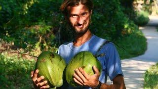 Остров КоБулон жизнь дикарями в джунглях