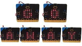 Make a Communication Aid With Micro:bit | Science Project