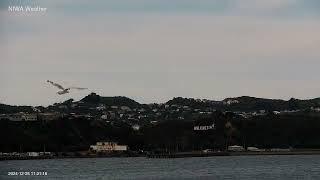 2024-12-25 Wellington Timelapse Camera