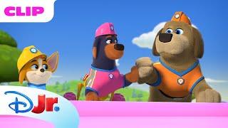 Pupstruction | Luna's Wishes Come True!  | @disneyjr