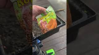 Крутая добавка из супермаркета. Лещи ОБОЖАЮТ!