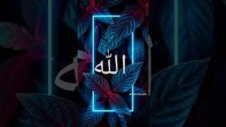 allha my youtube channel  #sorts #shortvideo #youtube