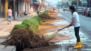 Nadie Creía Que Había Una Acera... Hasta Que Revelaron Un Camino Oculto Gigante | por @CleanupMowing