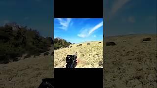 Безумная охота на кабанов!#дикийкабан#hunting#cinghiale#chasse#wildboar