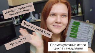 Дни после овуляции| Имплантационное кровотечение| Двойная овуляция?| 4 цикл планирования| Стимуляция