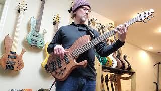 2020 Skjold Drakkar 5 string bass demo