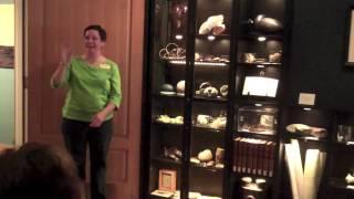 Wonder Cabinet: A Collection of Curiosities