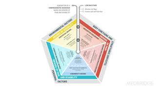 The Pain and Disability Drivers Model - Eric Hegedus | MedBridge