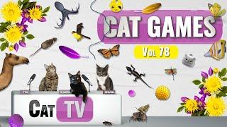 CAT Games | Ultimate Cat TV Compilation Vol 84 | 4 HOURS  