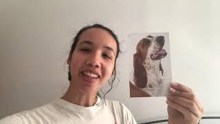 Virtual Bids & Bites for Bassets Welcome Video