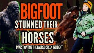 New Bigfoot Documentary  Sasquatch Stunned Their Horses - Terrifying Cryptid Encounter Investigation