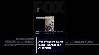 Drug smuggling tunnel linking Tijuana to San Diego found | FOX 10 Phoenix