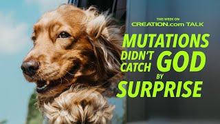 Mutations Didn't Catch God by Surprise: Species Were Designed to Change