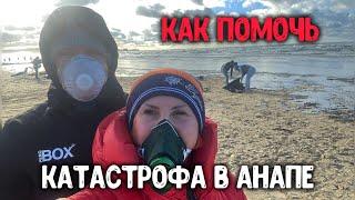 Катастрофа на Чёрном море сейчас. Пункт помощи Анапа Витязево. Как помочь убрать мазут. #помогианапе