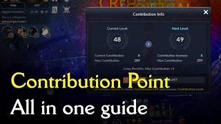 [Eng Sub] BDM -  CONTRIBUTION POINT All in one guide!