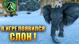 ArcheAge - СЛОН!