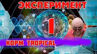 #Аквариум .Тестируем новинки  корма Tropical.