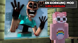 Minecraft’ta EN KORKUNÇ MODLARI Test Ettim… 2