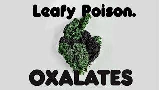 What Are Oxalates? - Uncovering The Leafy Poison