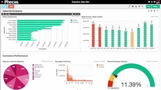 Phocas 4-minute miracle (North America) - business intelligence video