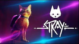 Stray - TRAILER