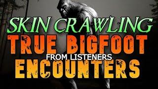 SKIN CRAWLING TRUE BIGFOOT ENCOUNTERS FROM LISTENERS