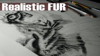 How to draw a Tiger Face - part 6 short fur