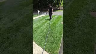 How To Keep Your Lawn Green During Summer Heat With Bioadvanved Lawn Root Moisturizer
