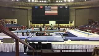 Raegan Knight - 2018 Beam Metroplex Challenge - 9.6 - 2nd Place