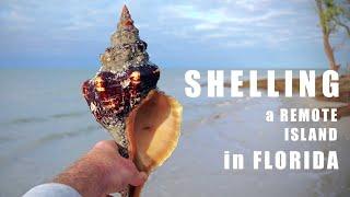 48 Stunden lang ALLEIN auf einer abgelegenen Insel in Florida muscheln – Teil 2!