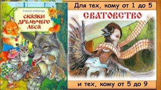 СПОР.  СВАТОВСТВО.  (Т.Крюкова.  Сказки дремучего леса) - читает бабушка Лида