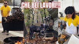 Tutto questo ci fa stare bene! - Ep. 577 - Vivere in Montagna