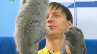Клуб "Легенда"Одесса"теле VTS 01 1