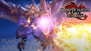 MHR:SB | MR6 Flaming Espinas First Encounter