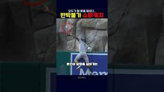 와 진짜 역대급 캐치....
