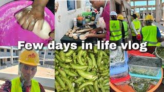 Few days in life vlog || What my job entails || Cooking chapati  || Cleaning my freezer #vlog #food