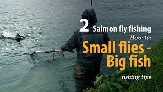 How to • Salmon fly fishing • Small flies - Big fish • fishing tips