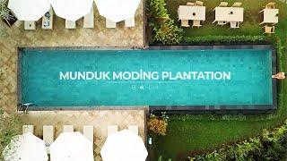 Savor Bali with Munduk Moding Plantation
