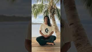 The Hemp Raglan Tee
