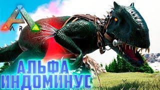 АЛЬФА Индоминус Рекс - ARK Survival AG Reborn #9