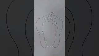 How To Draw Bell Pepper 🫑