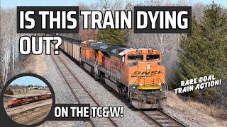 RARE Coal Trains on The Twin Cities and Western + Bonus Bayport Coalie