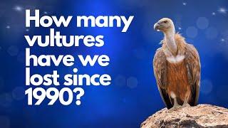 Amazing bird of prey Statistics! How many birds of prey species are there in the world?