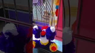 meet my new puppet