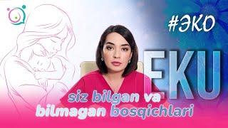 EKU (EKO)ning siz bilgan va bilmagan bosqichlari