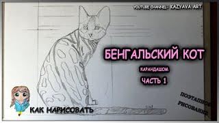 Как нарисовать БЕНГАЛЬСКОГО кота карандашом. Пошаговый мастер-класс. Часть 1. Построение